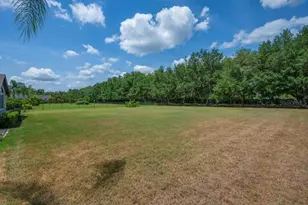 5507 Keeler Oak St, Lithia, FL 33547 - Photo 47
