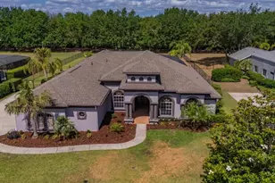 5507 Keeler Oak St, Lithia, FL 33547 - Photo 59