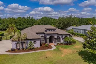 5507 Keeler Oak St, Lithia, FL 33547 - Photo 55