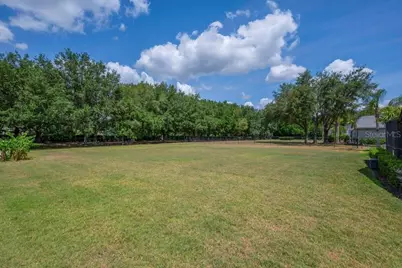 5507 Keeler Oak Street, Lithia, FL 33547 - Photo 7