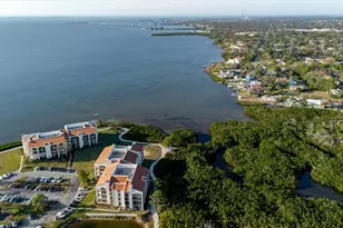 208 Mariner Dr, Tarpon Springs, FL 34689 - Photo 63