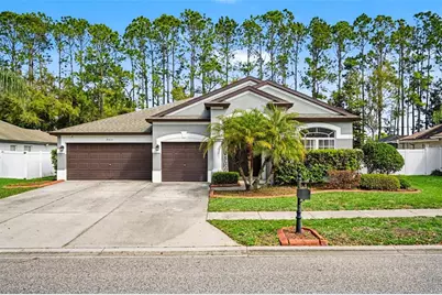 20835 Riverforest Drive, Land O Lakes, FL 34638 - Photo 1