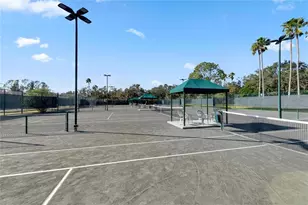 10226 Evergreen Hill Dr, Tampa, FL 33647 - Photo 43