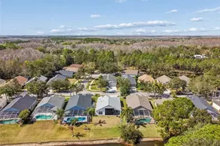 18617 Le Dauphine Pl, Lutz, FL 33558 - Photo 85