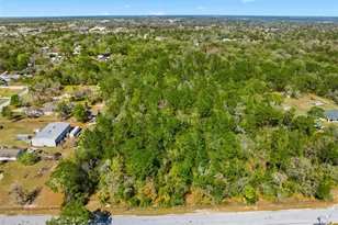 9255 Grouse Way, Hudson, FL 34669 - Photo 9