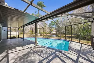 5620 Essex Ct, Palm Harbor, FL 34685 - Photo 69