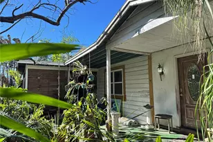 8716 N Temple Ave, Tampa, FL 33617 - Photo 5