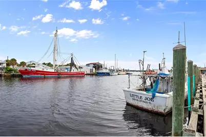 723 Waterside Court, Tarpon Springs, FL 34689 - Photo 69