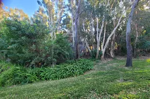 820 Lantern Way, Clearwater, FL 33765 - Photo 35