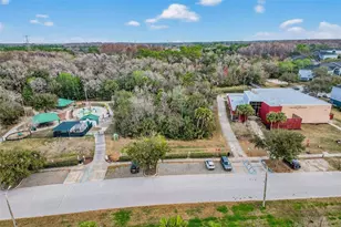 904 Vineyard Ln, Oldsmar, FL 34677 - Photo 43