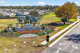 7606 Twinleaf Terrace, Parrish, FL 34219 - Photo 41