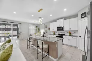 33146 Sand Creek Dr, Wesley Chapel, FL 33543 - Photo 17