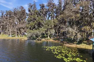 19513 Deer Lake Rd, Lutz, FL 33548 - Photo 29