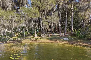19513 Deer Lake Rd, Lutz, FL 33548 - Photo 5