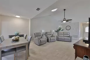 315 Linger Ln, Sun City Center, FL 33573 - Photo 13