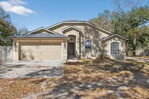 5117 Nesmith Rd, Plant City, FL 33567 - Photo 1