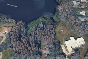 1029 Van Dyke Rd, Lutz, FL 33548 - Photo 3