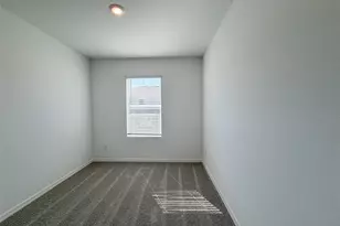 31276 Paper Birch St, Wesley Chapel, FL 33545 - Photo 13