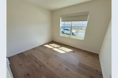 33333 Field Maple Loop, Wesley Chapel, FL 33545 - Photo 7