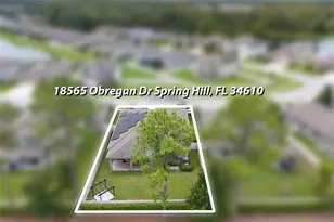 18565 Obregan Dr, Spring Hill, FL 34610 - Photo 61