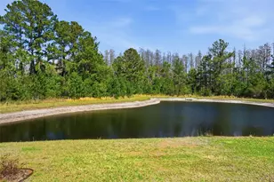 18093 Turning Leaf Cir, Land O Lakes, FL 34638 - Photo 35