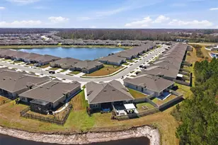 18093 Turning Leaf Cir, Land O Lakes, FL 34638 - Photo 41