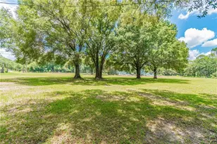 1453 Creek Rd, Wesley Chapel, FL 33543 - Photo 5