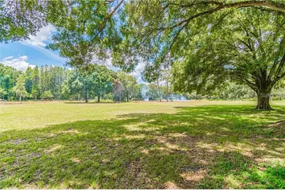 1453 Creek Road, Wesley Chapel, FL 33543 - Photo 7