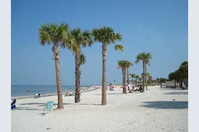 2587 Cyprus Drive #3-214, Palm Harbor, FL 34684 - Photo 11