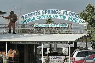 2587 Cyprus Dr, Palm Harbor, FL 34684 - Photo 15