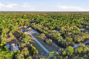 17736 Overstreet Ln, Spring Hill, FL 34610 - Photo 69