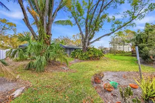 22440 Stillwood Dr, Land O Lakes, FL 34639 - Photo 25