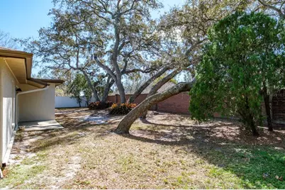 2860 Longleaf Lane, Palm Harbor, FL 34684 - Photo 13