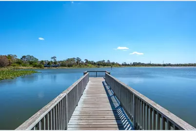 2860 Longleaf Lane, Palm Harbor, FL 34684 - Photo 63