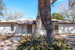 2860 Longleaf Ln, Palm Harbor, FL 34684 - Photo 9