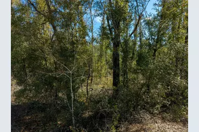 [Address not provided], Live Oak, FL 32060 - Photo 21