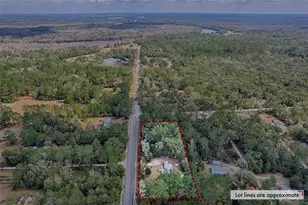 630 SE 136th Ave, Old Town, FL 32680 - Photo 33