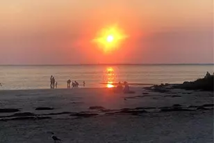 1467 Watermill Cir, Tarpon Springs, FL 34689 - Photo 67