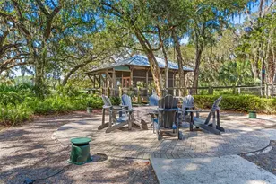 14310 Barrington Stowers Dr, Lithia, FL 33547 - Photo 69