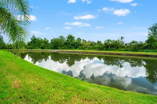 2330 Nesslewood Dr, Wesley Chapel, FL 33543 - Photo 39