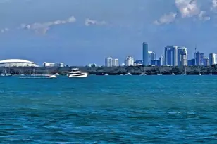 8029 22nd Ave N, Saint Petersburg, FL 33710 - Photo 59