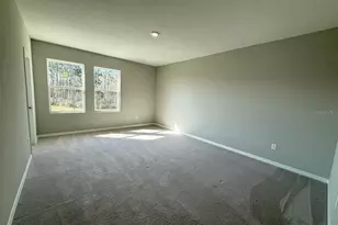 7724 Broad River Ave, Land O Lakes, FL 34638 - Photo 27