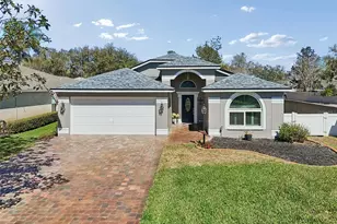 3301 Black Gum Ct, Tampa, FL 33618 - Photo 49