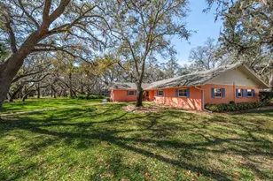 1921 Cardinal Rd, Dunedin, FL 34698 - Photo 43