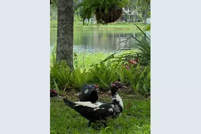 4850 Walnut Ridge Road, Land O Lakes, FL 34638 - Photo 43