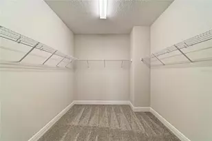 8215 Rushton Pl, Parrish, FL 34219 - Photo 11