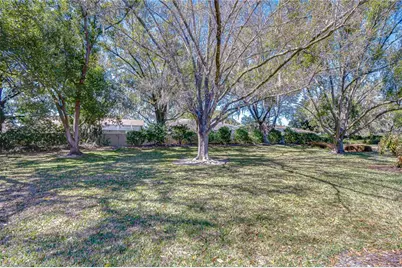 3813 Turkey Oak Drive, Valrico, FL 33596 - Photo 33