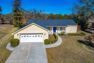 18509 Putters Pl, Tampa, FL 33647 - Photo 5