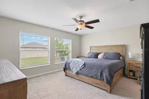 16640 Carlton Pond St, Wimauma, FL 33598 - Photo 17