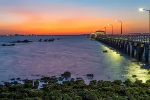 3104 W Fielder St, Tampa, FL 33611 - Photo 53